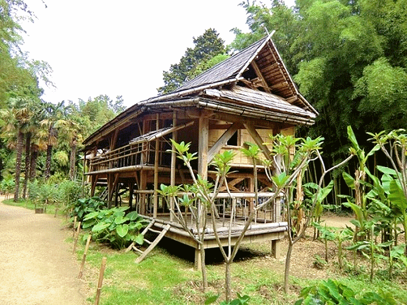 architecture_bambou_bamboo_construction_building_moso_guyane_guyana